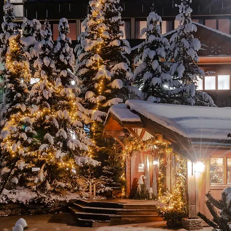 Hotel Alpes Du Pralong