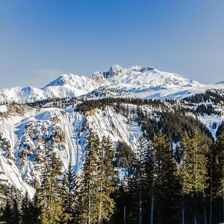 Alpes Du Pralong Отель 5*