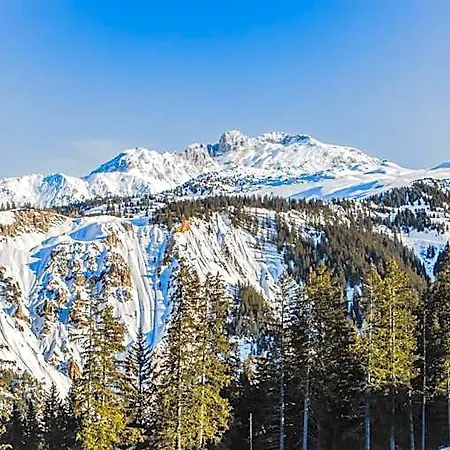 Alpes Du Pralong Courchevel